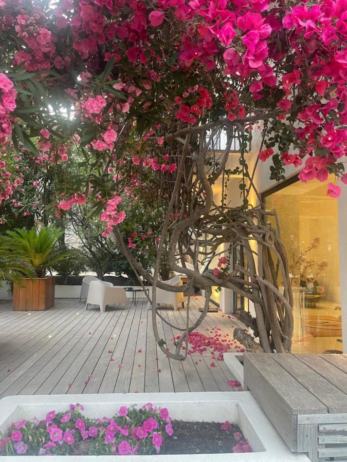 Hotel Le Mistral Porto-Vecchio  Exteriör bild