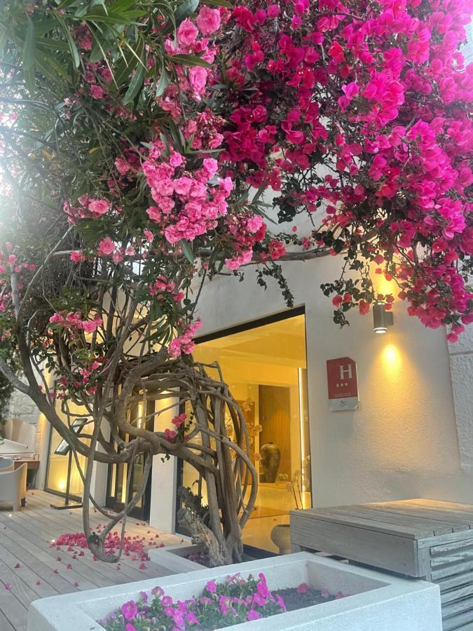 Hotel Le Mistral Porto-Vecchio  Exteriör bild